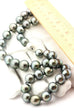 14k white gold Tahitian saltwater pearl strand necklace 18 inch 10-12.5mm new