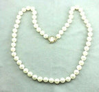 18" round white cultured pearl 7-7.5mm strand necklace 14k yellow gold clasp NEW