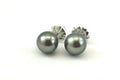14k white gold 11-11.5mm Genuine Tahitian black cultured pearl stud earrings NEW