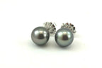 14k white gold 11-11.5mm Genuine Tahitian black cultured pearl stud earrings NEW