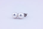 14k white gold 7.20-7.30mm round white pearls stud earrings new