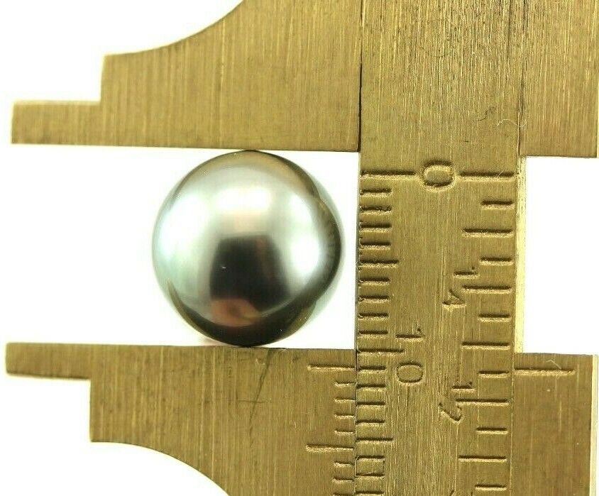 14k white gold 11-11.5mm Genuine Tahitian black cultured pearl stud earrings NEW