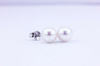 NEW white gold 14k 7mm Akoya cultered round pearl stud earrings 7.05-7.15mm